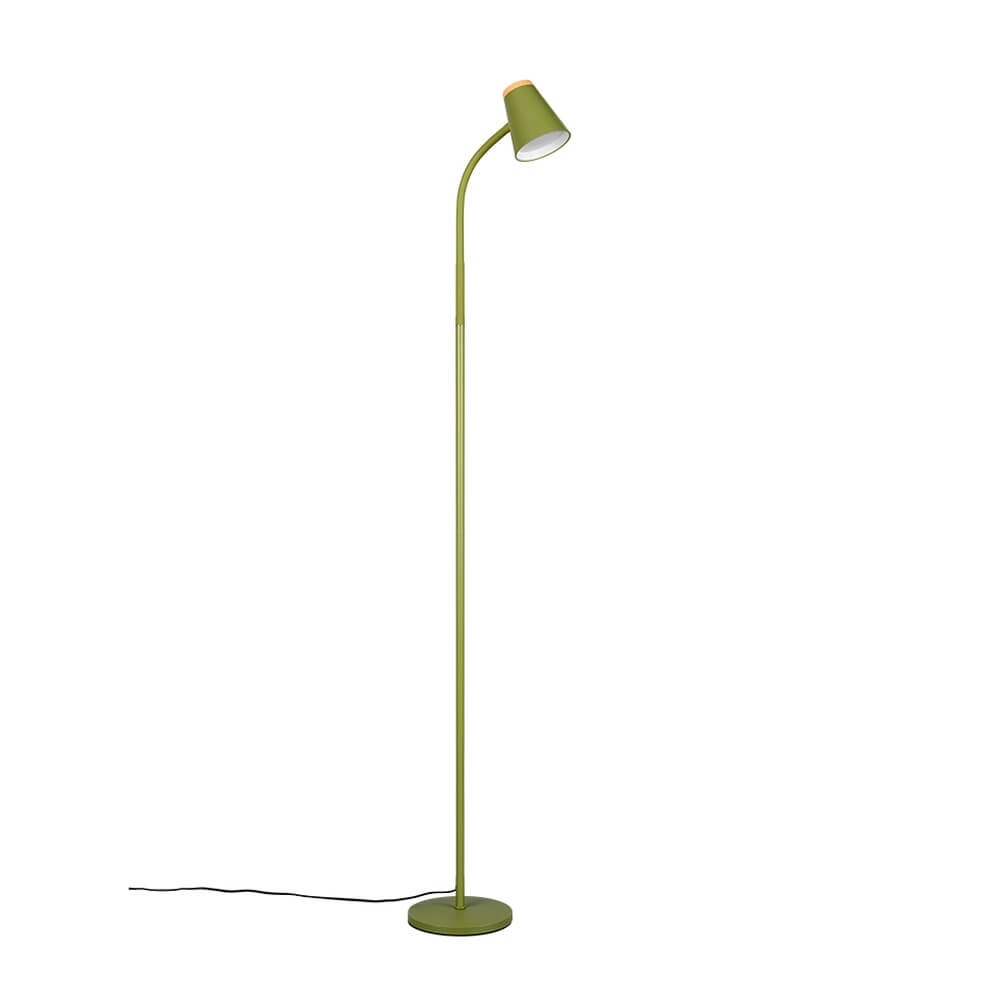 Vloerlamp Pongo groen Trio 4017807642872