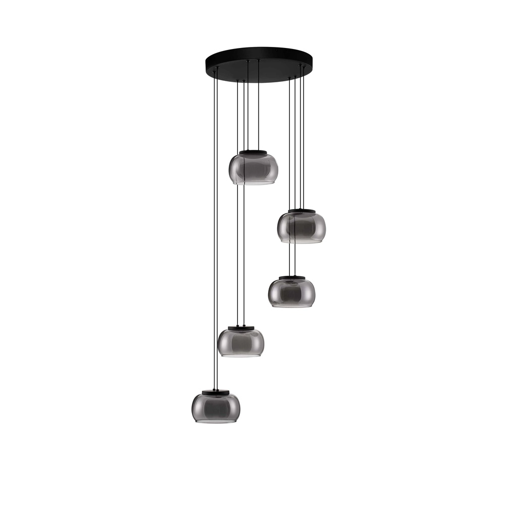 Moderne hanglamp Bios 5-lichts zwart Lyora 5212017458537