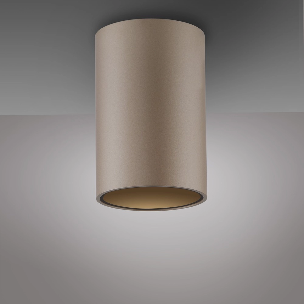 Plafond opbouwspot Pure Point Ø 6cm - bronce Paul Neuhaus 4012248395691