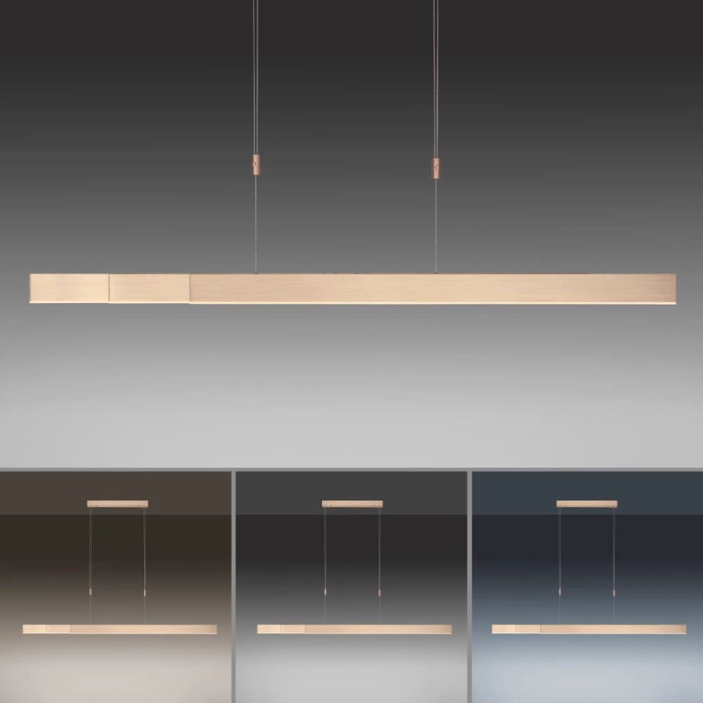 Led hanglamp Pure-Moto messing mat Paul Neuhaus 4012248363768