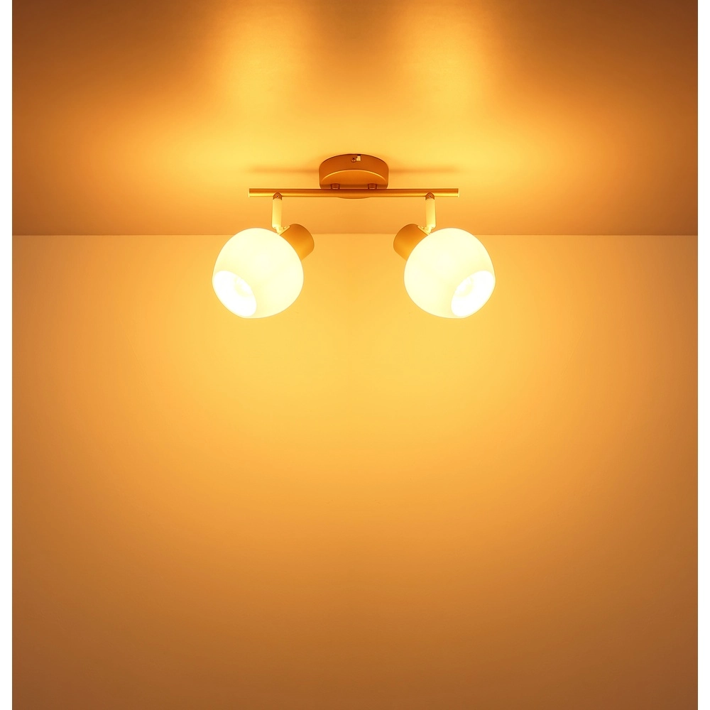 Plafondlamp Eileen 2-lichts koffie bruin Globo 9007371589562