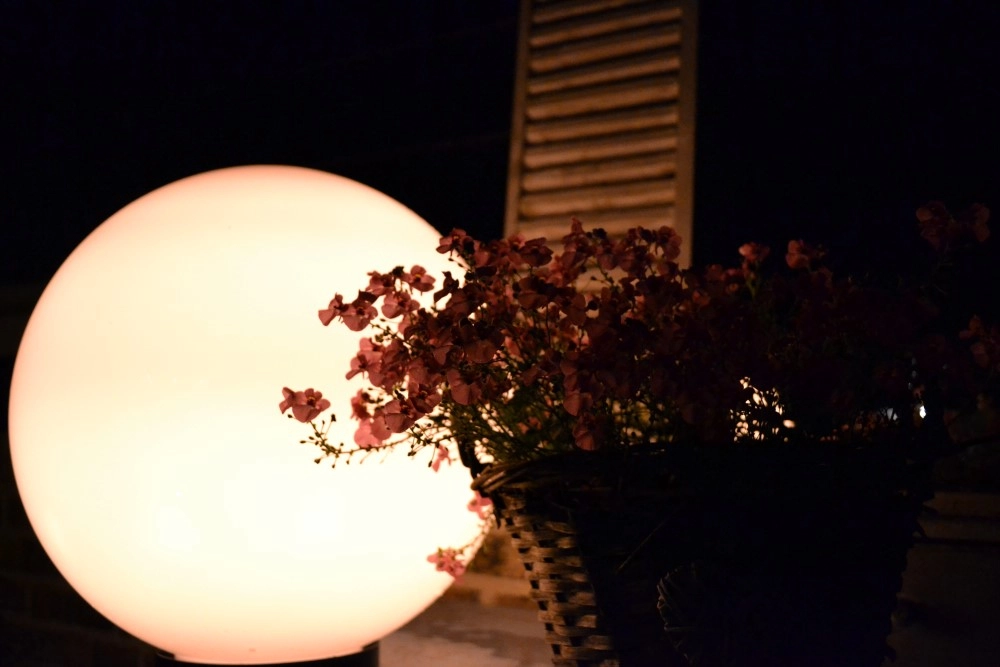 Bollamp Bolano 20cm. Lyora 8716803507319