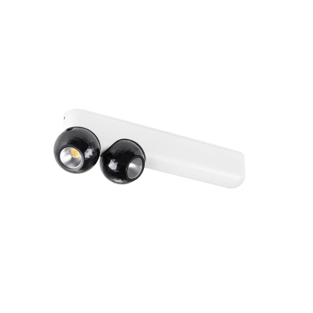 Plafondlamp Dysko wit met zwart dubbel SLV 4024163317177