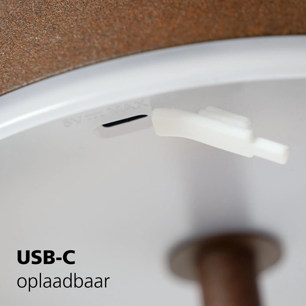 Terraslamp Mannera roestbruin Eglo 9008606334377