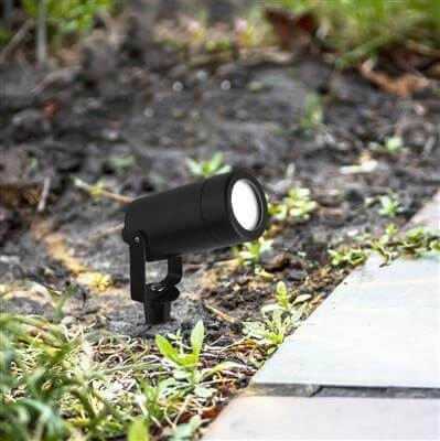 Zwarte prikspot Splot Searchlight 5053423164861