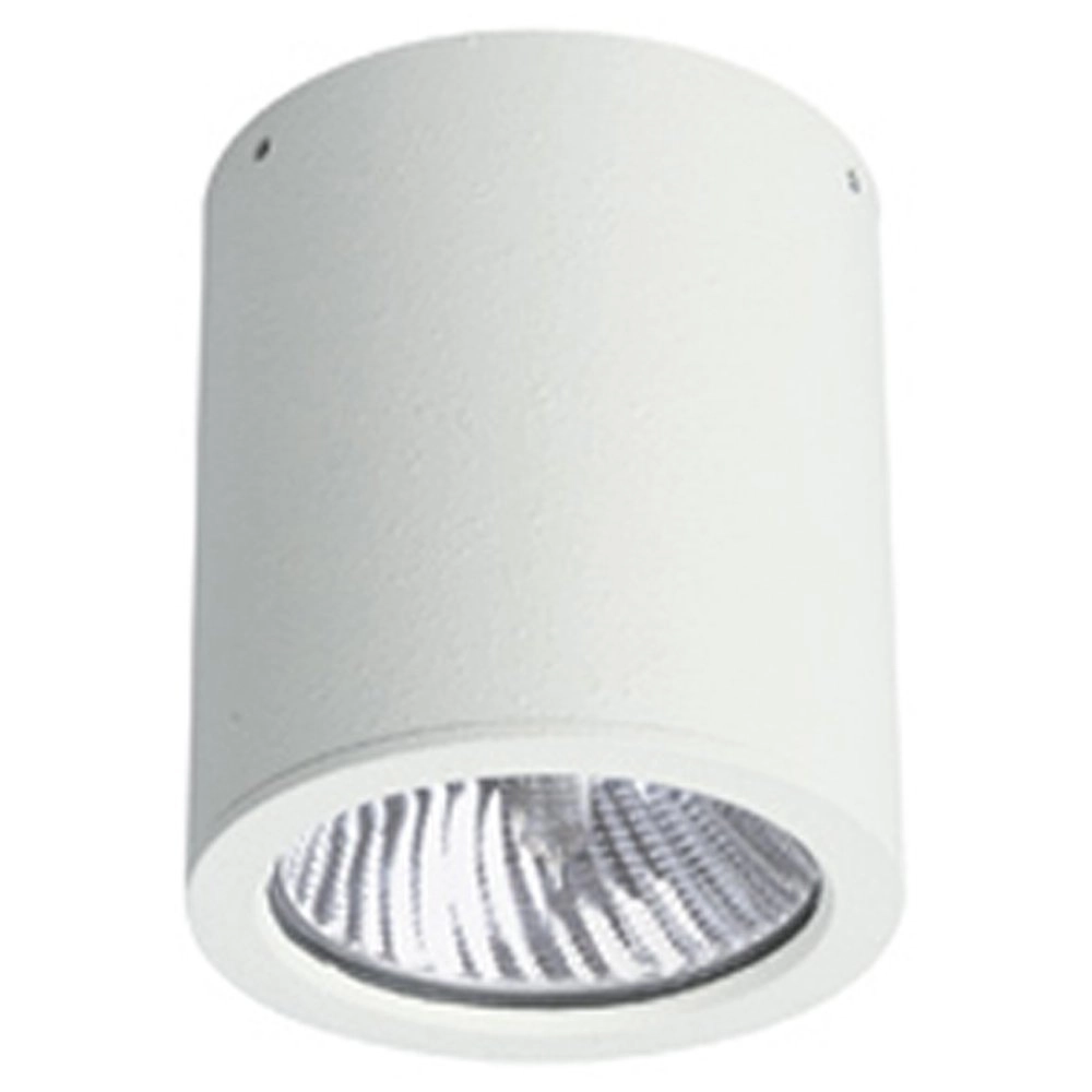 Plafondverlichting buiten Yori 12w - wit
