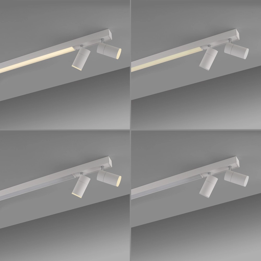 Plafond opbouwspot Pure Lines Spot 110cm - wit Paul Neuhaus 4012248395837