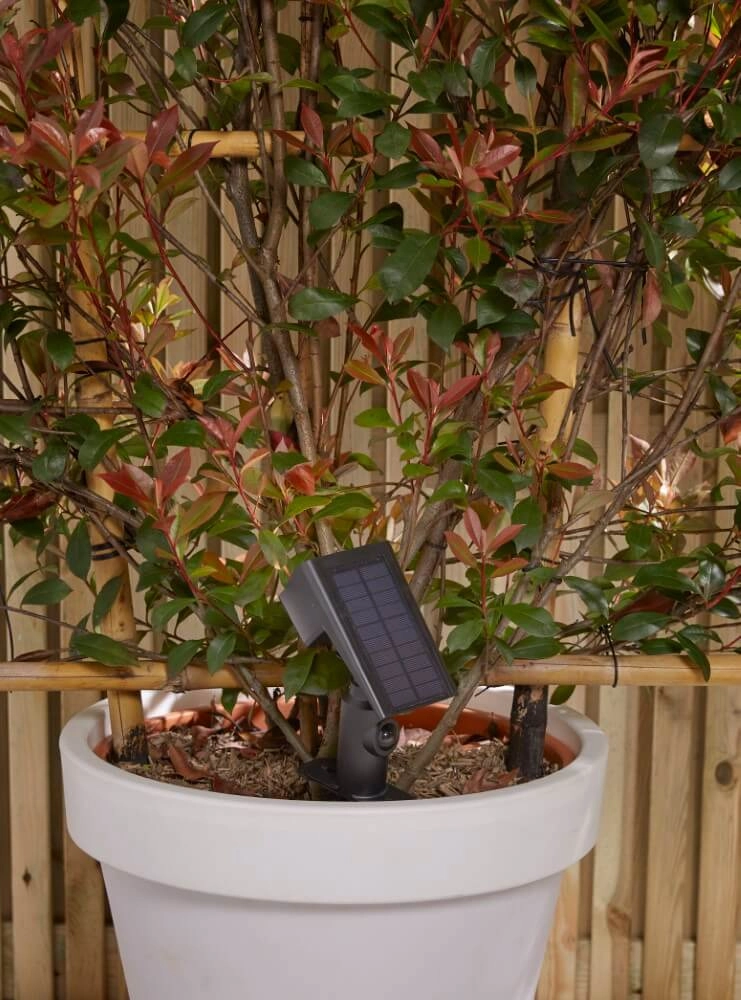 Led solar lamp Rosario met sensor Luxform 8719099230299