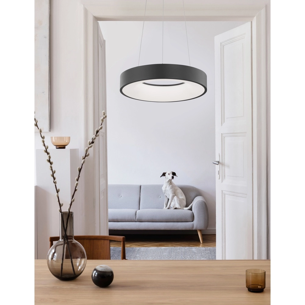 Hanglamp Rando Thin zwart Ø 38cm