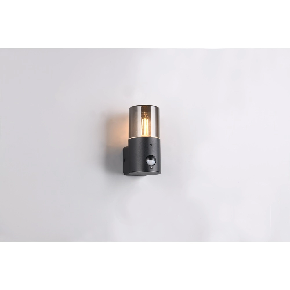 Wandlamp Hoosic enkel met sensor Trio 4017807603620