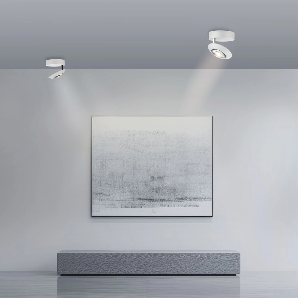 Led plafondspot Pure Oculis wit Paul Neuhaus 4012248397046