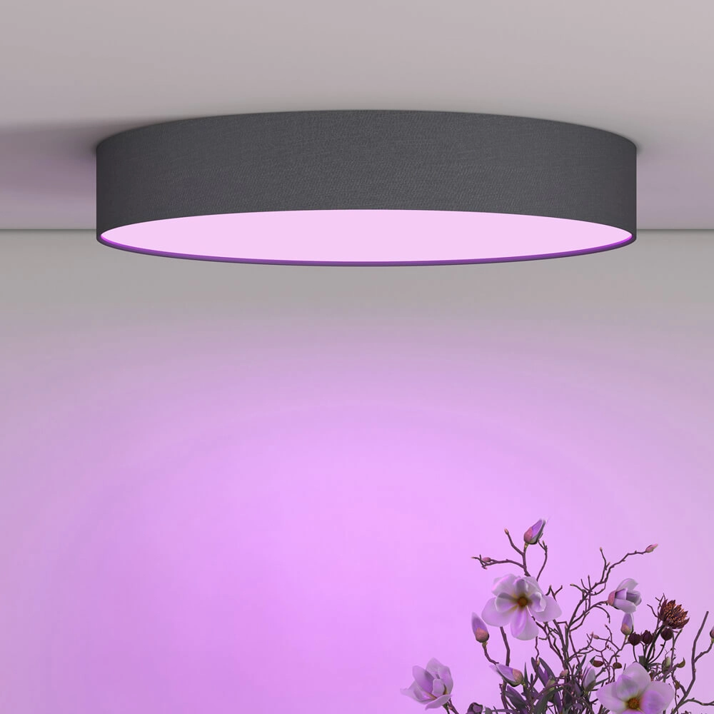 Slimme plafonnière Smart Ceily Ø 30cm Circle 8712879151081
