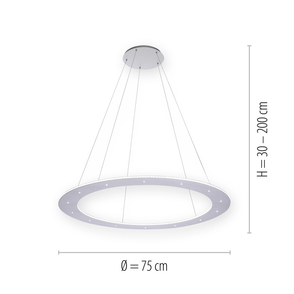 Led hanglamp Pure Cosmo geborsteld metaal - Ø 75cm Paul Neuhaus 4012248350751