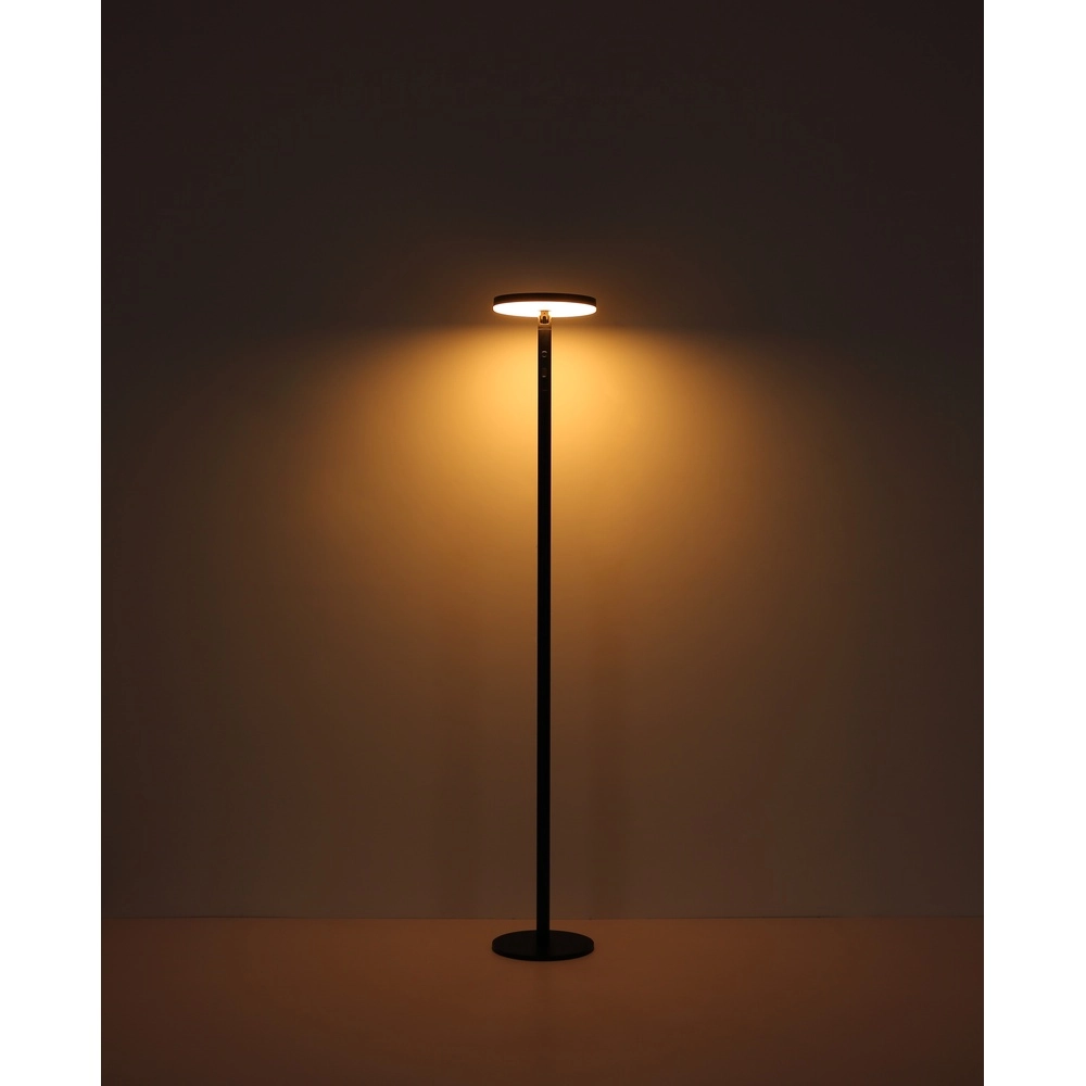 Staande buitenlamp Dynaro zwart Globo 9007371516520