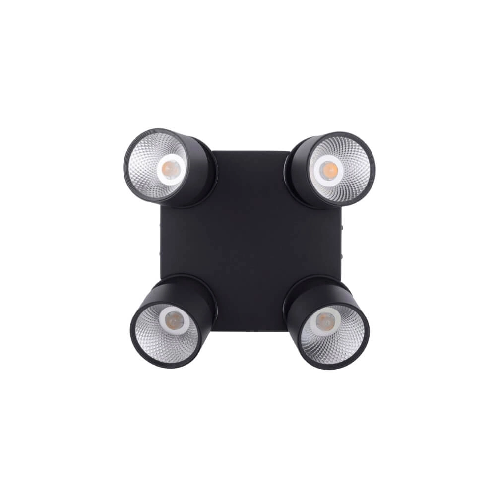 Plafondlamp Pure Nola 4-lichts zwart Paul Neuhaus 4012248372012