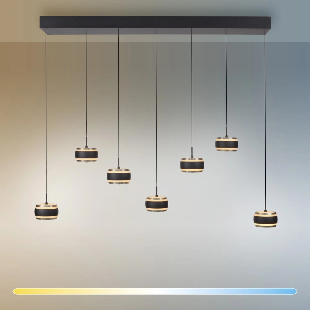 7L eettafel hanglamp Pure Falling Rings black pearl Paul Neuhaus 4012248396599