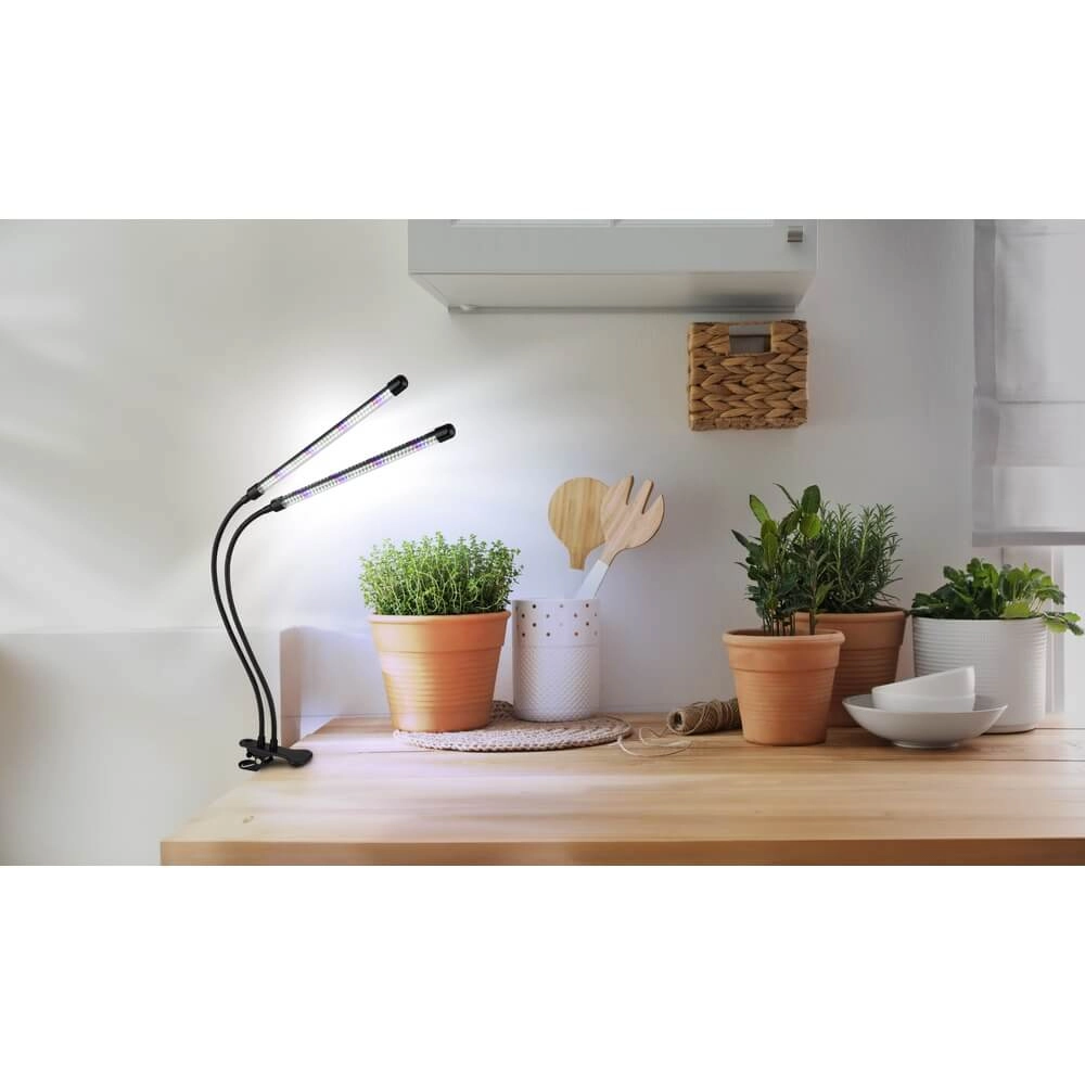 Klemlamp Treena groeilamp voor planten Globo 9007371447138