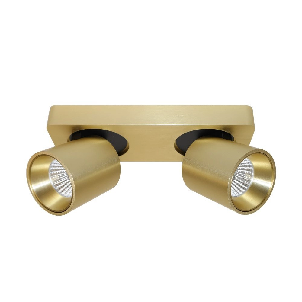 Led plafondspot Laguna 2-lichts goud