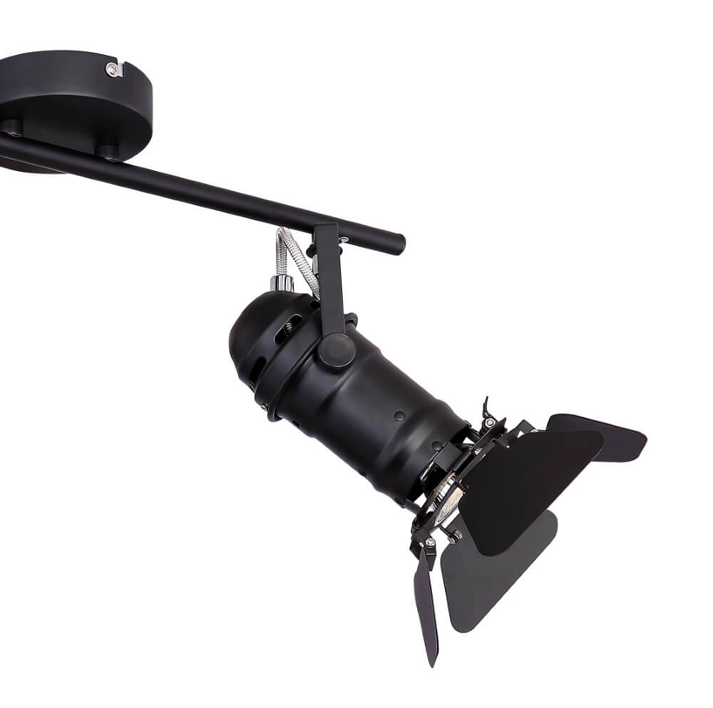 Zwarte plafondlamp Egon Globo 9007371395651