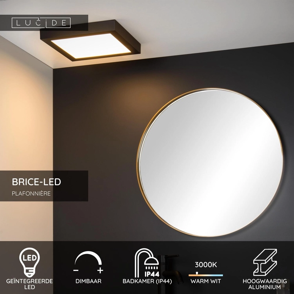 Plafonniere Brice-Led 30cm vierkant IP44 zwart Lucide 5411212281272