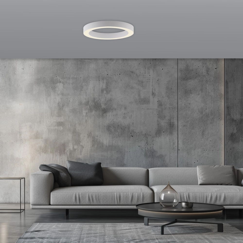 Strakke led plafondlamp Pure Lines Round Ø 35cm - wit Paul Neuhaus 4012248395226