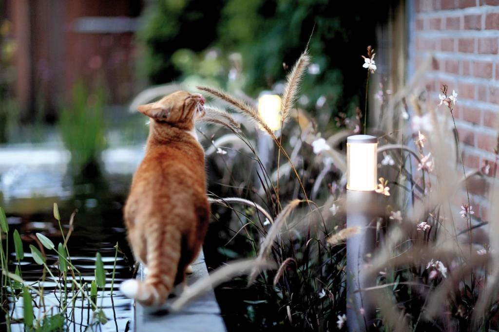 Tuinlamp Liv 12 volt LED In-lite 8717051004445