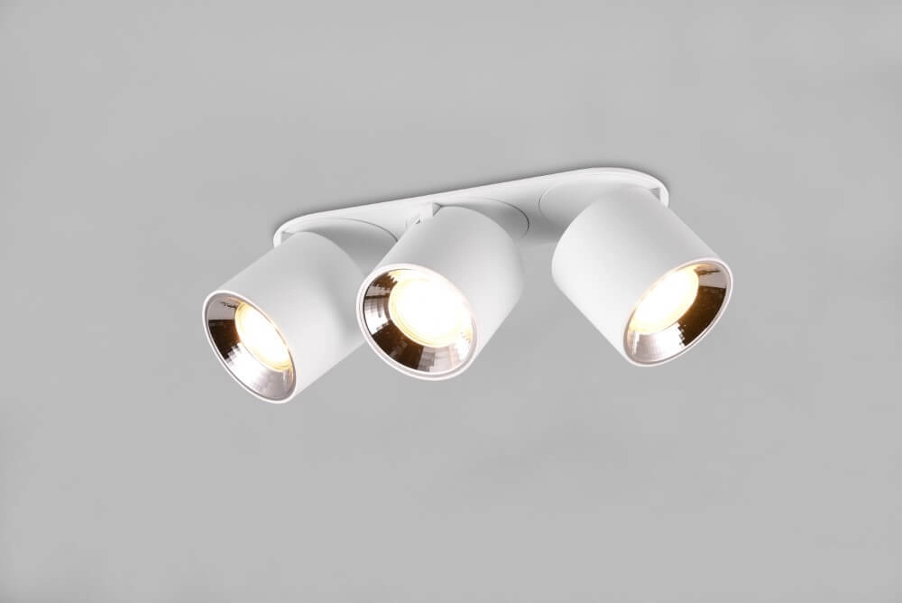 Plafondlamp Guayana 3-lichts wit Trio 4017807573985