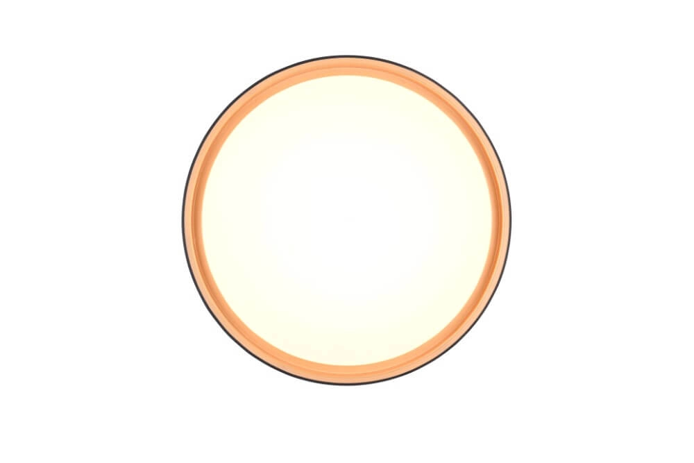 Plafonniere Felis zwart met goud Trio 4017807604030