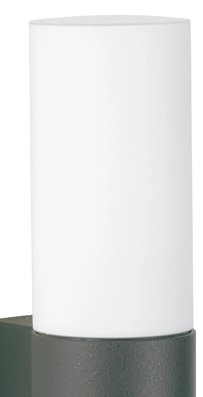 Wandverlichting Led buiten Cyl antraciet Albert 4007235202779