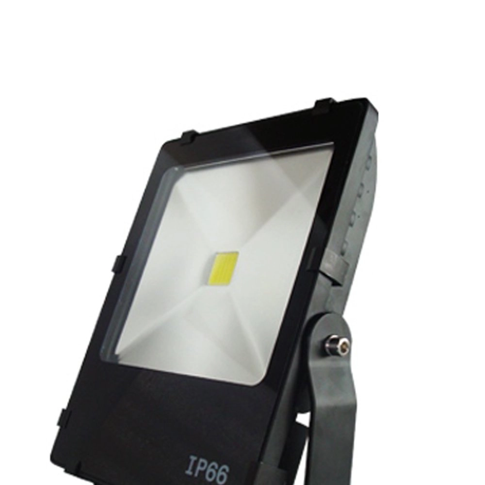 Led tuinspot Floodlight Franssen 8717064119686