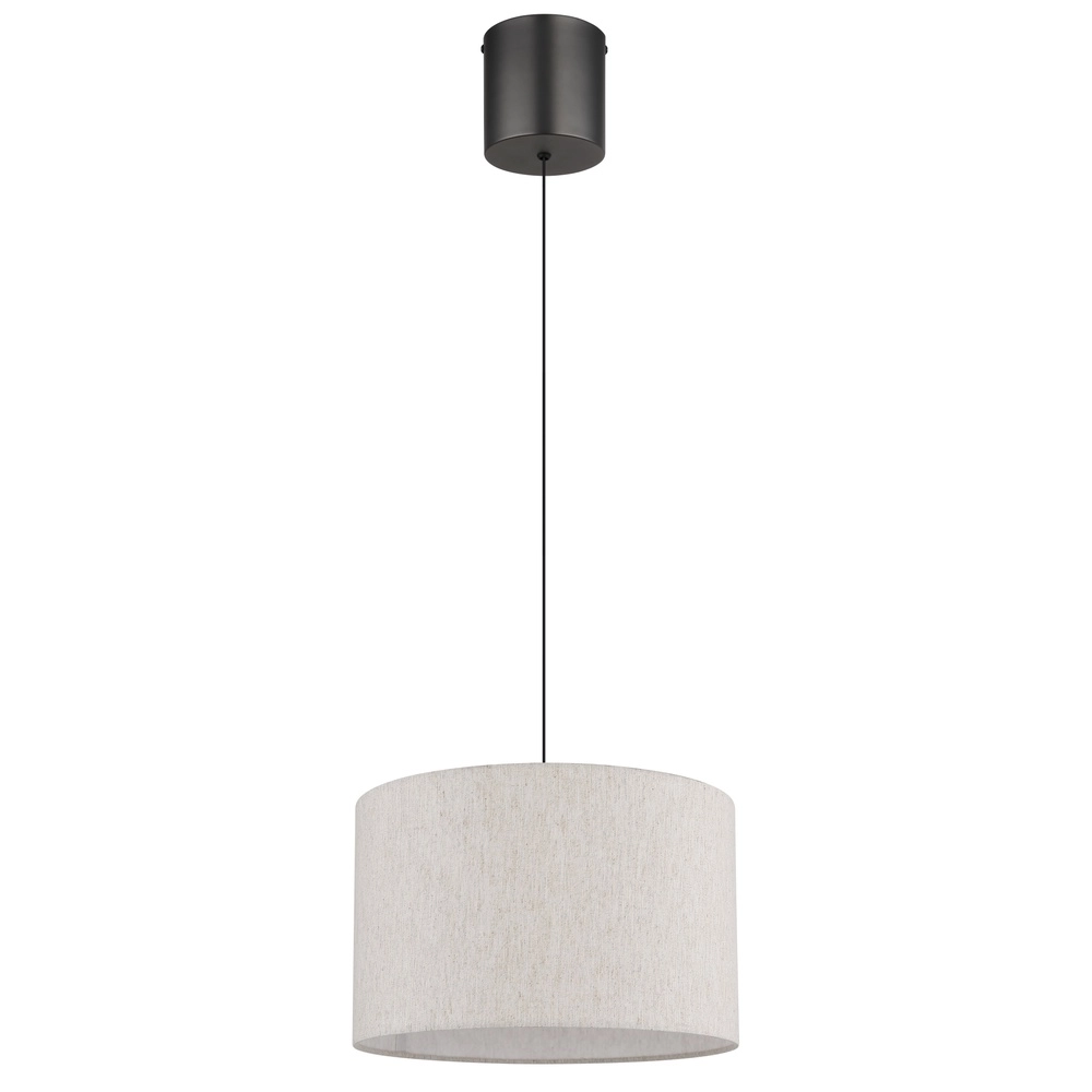Gunmetal hanglamp Thea design Globo 9007371579020