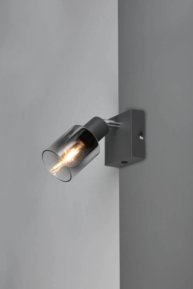 Zwart wandlampje Cadiz met smoke glas Trio 4017807615753