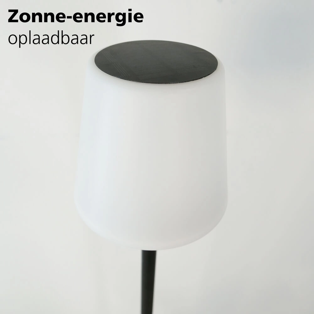 Design terraslamp Montapalma zwart met wit kegel Eglo 9002759758882